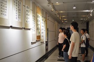 丹青繪盛世 光影頌華章 南京審計(jì)大學(xué)潤(rùn)園書院書畫攝影展獻(xiàn)禮建國(guó)70周年